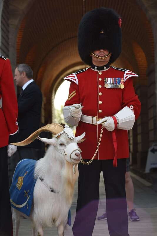 Quebec: La Citadelle de Québec Ticket and Guided Tour - What This Tour Offers: A Closer Look