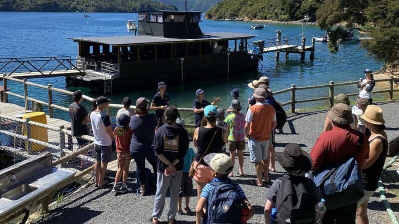 Queen Charlotte Sound: Lochmara Cruise and Explore 9-4 - An Overview of the Experience