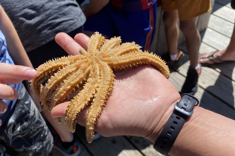Queen Charlotte Sound: Lochmara Cruise & Explore 9-2.45 - A Detailed Look at the Lochmara Cruise & Explore Experience