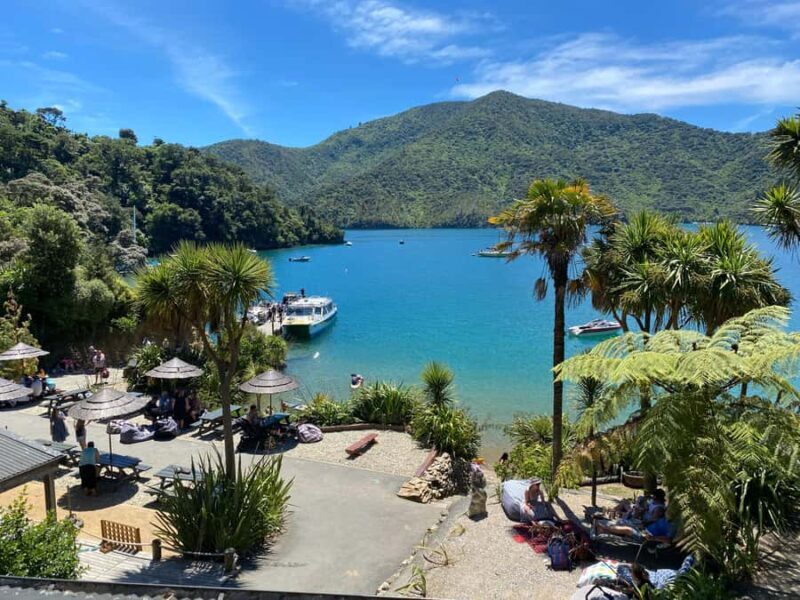 Queen Charlotte Sound: Lochmara Cruise & Explore 9-2.45 - Final Thoughts