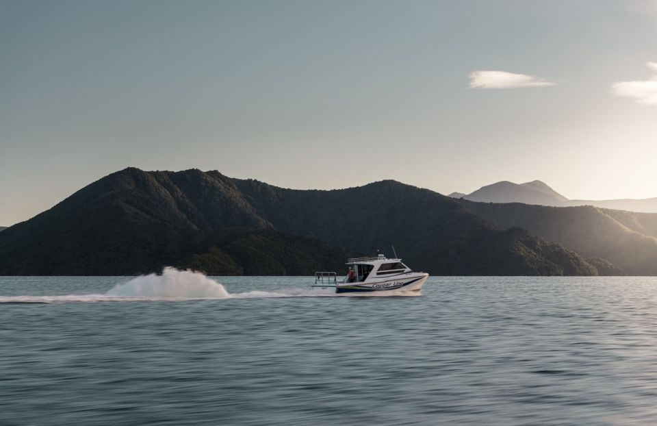 Queen Charlotte Sound: Scenic Cruise & Lunch - Customer Reviews