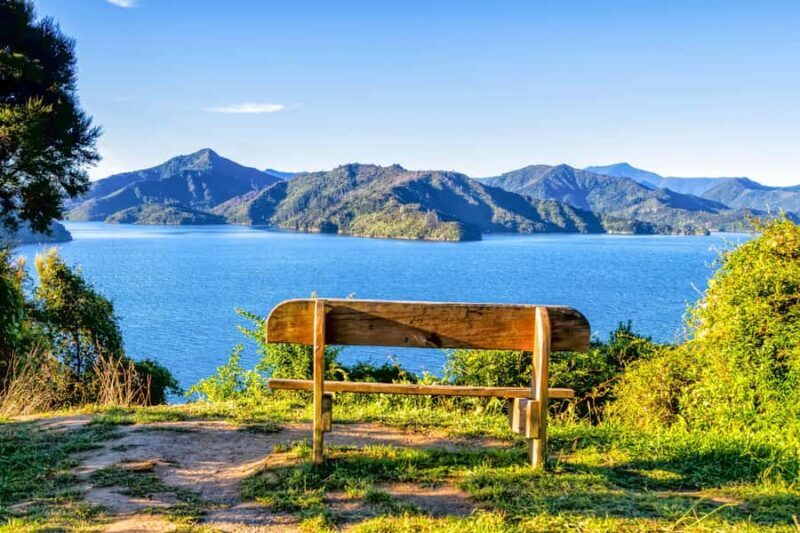 Queen Charlotte Track: Cruise & Self-Guided Hike from Picton - Key Points