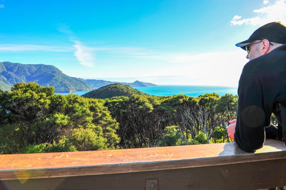 Queen Charlotte Track: Cruise & Self-Guided Hike From Picton - Includes