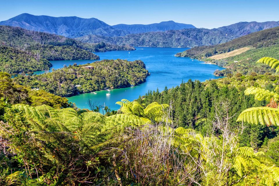 Queen Charlotte Track: Cruise & Self-Guided Hike From Picton - Booking Information