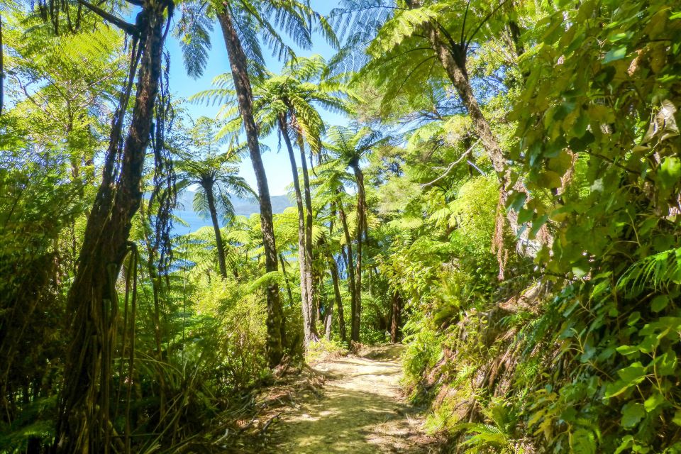Queen Charlotte Track: Cruise & Self-Guided Hike From Picton - Hiking Options