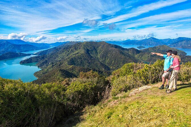 Queen Charlotte Track Self Guided Hike to Eatwells Lookout - Final Thoughts