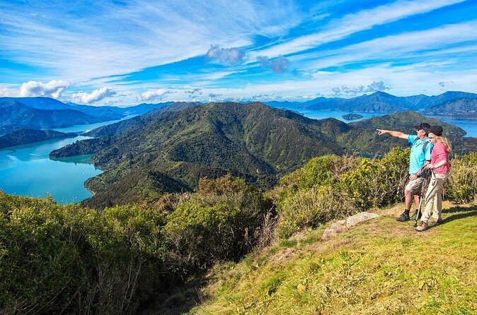 Queen Charlotte Track Self Guided Hike to Eatwells Lookout - FAQ