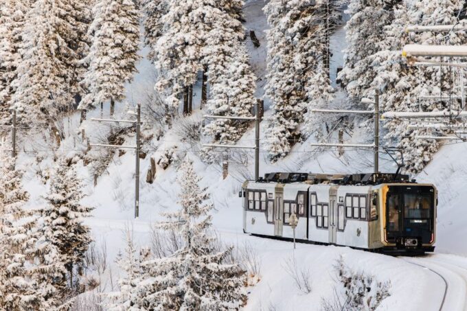 Queen of the Mountains Roundtrip, Mt. Rigi+Lake Lucerne+Spa - Tips for Your Trip