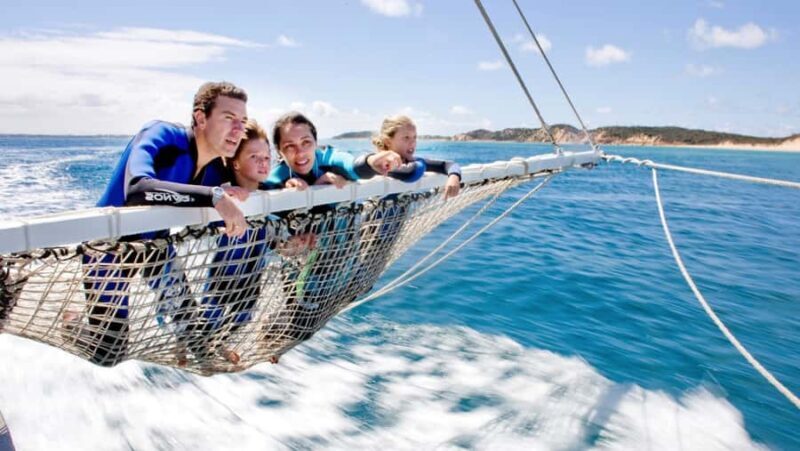 Queenscliff Harbour: 3.5hr Seal & Dolphin Snorkelling Tour - Final Thoughts: Who Will Love This Tour?