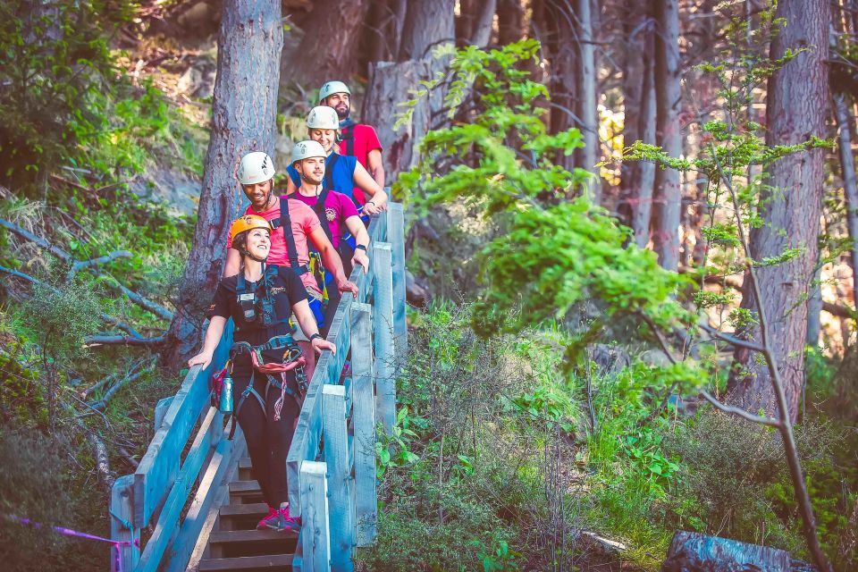 Queenstown: 3-Hour Zipline Adventure With 6-Lines - Key Points