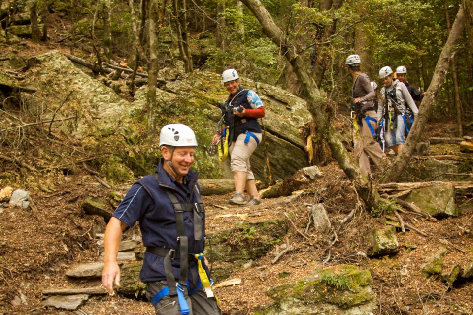 Queenstown: 3-Hour Zipline Adventure With 6-Lines - Panoramic Views of Lake Wakatipu