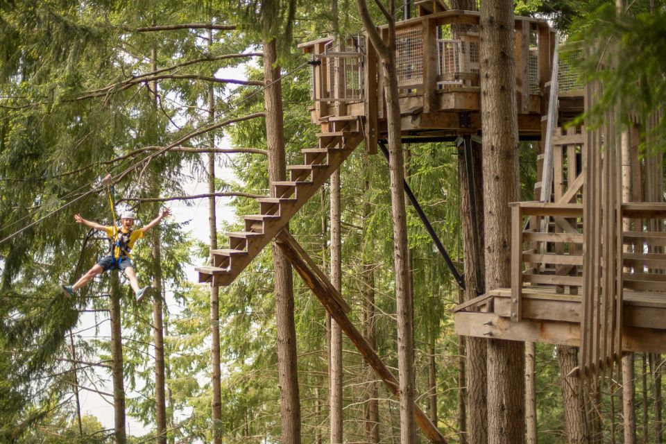 Queenstown: 3-Hour Zipline Adventure With 6-Lines - Zipline Details and Inclusions
