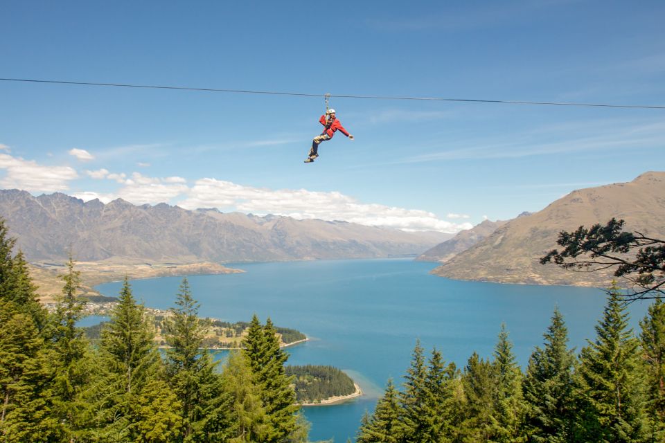 Queenstown: 3-Hour Zipline Adventure With 6-Lines - Important Information for Participants