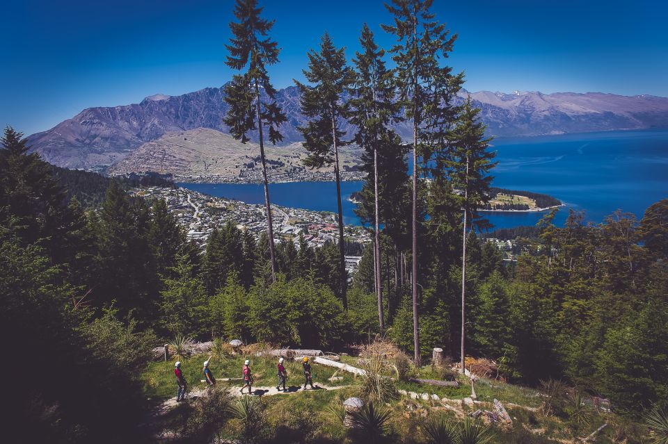 Queenstown: 3-Hour Zipline Adventure With 6-Lines - Directions to the Ziptrek Treehouse