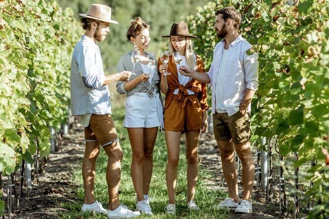 Queenstown Afternoon Wine Tour - Peregrine | Kinross | Amisfield - A Detailed Look at the Queenstown Afternoon Wine Tour