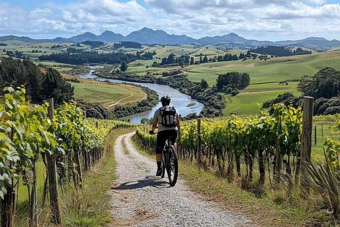 Queenstown Biking Wine Tour - Self-Guided Audio Tour - Who Should Consider This Tour?