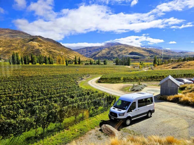 Queenstown: Central Otago Wine Tour - Discovering Queenstown’s Central Otago Wine Scene in Depth