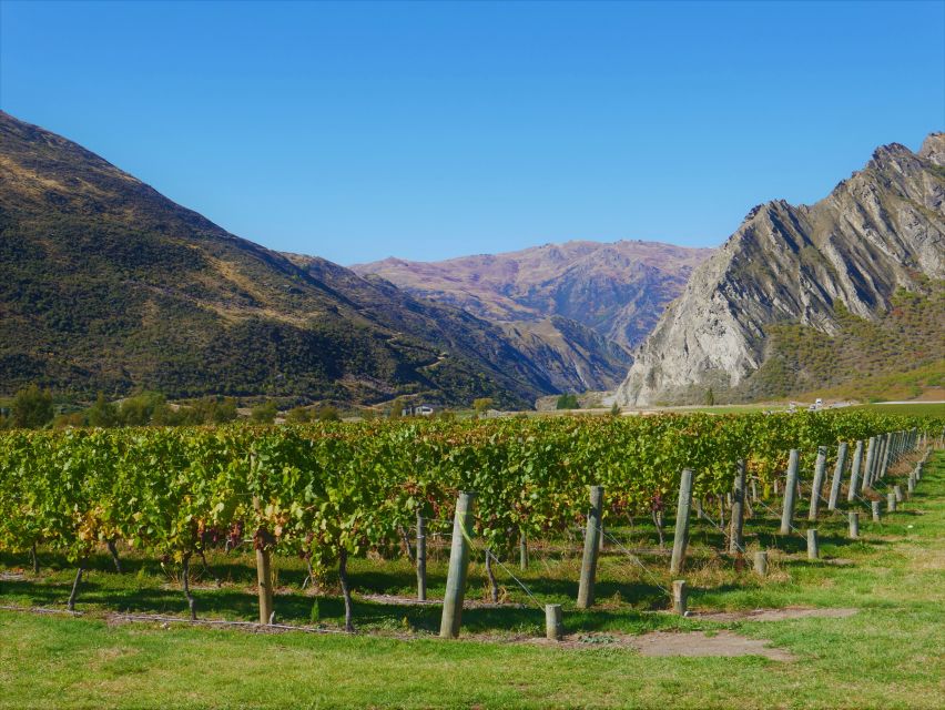 Queenstown: Classic Wine Tour - Full Description