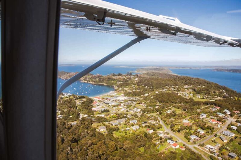 Queenstown: Day Trip to Stewart Island via Scenic Flight - An Authentic Look at the Stewart Island Day Trip