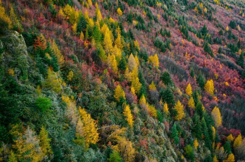 Queenstown: Glenorchy, Arrowtown, & Crown Range Tour - Final Thoughts