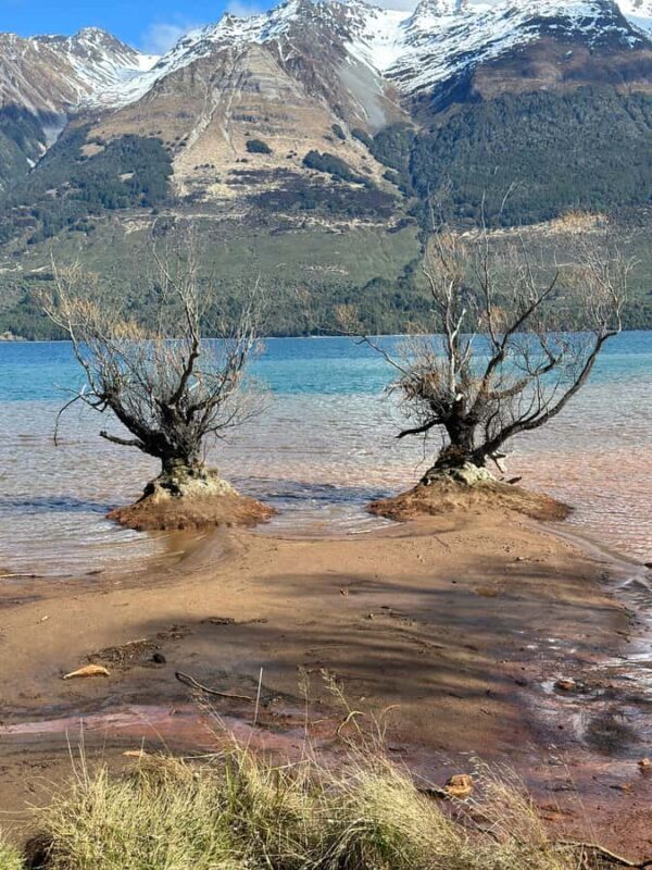 Queenstown: Glenorchy Private Tour with Hotel Pickup - An Introduction to the Scenic South: What This Tour Offers