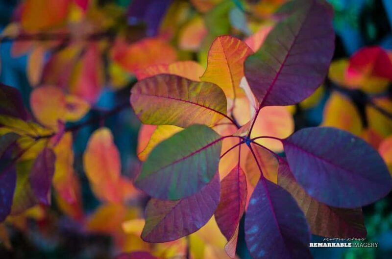 Queenstown: Half Day Private Photography Tour - The Value of a Private Photography Tour