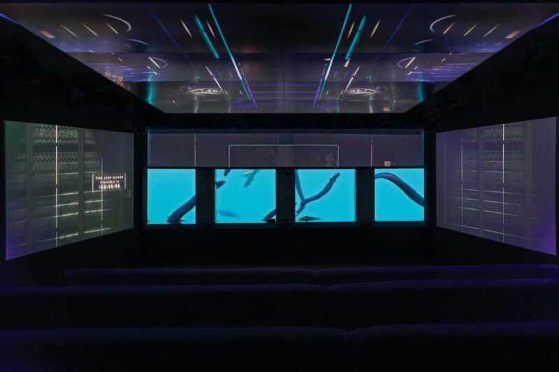 Queenstown: Hidden Underwater Theatre Experience - An In-Depth Look at the Experience