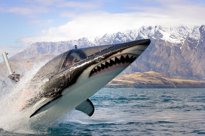 Queenstown Hydro Attack Shark Ride Adventure - Key Points