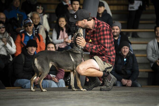 Queenstown Lake Cruise to Walter Peak Farm with BBQ Buffet - Practical Details and Tips