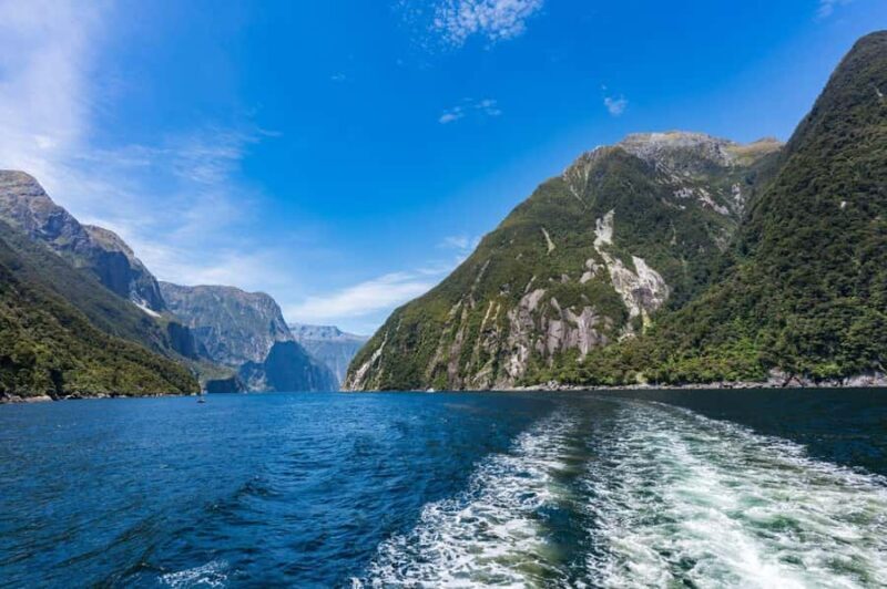 Queenstown: Milford Sound Private Tour - An In-Depth Look at the Milford Sound Private Tour