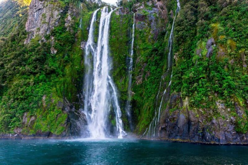 Queenstown: Milford Sound Private Tour - Who Will Love This Tour?