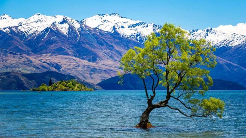 Queenstown: Private 3 Days Trip to Glenorchy Wanaka & Tekapo - The Sum Up: Who Will Love This Tour?