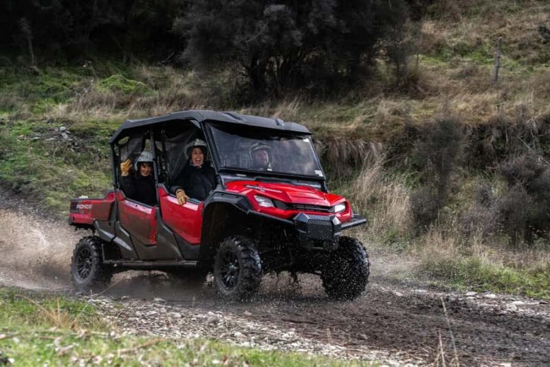 Queenstown: Ride Along Buggy Tour - Who Will Love This Tour?