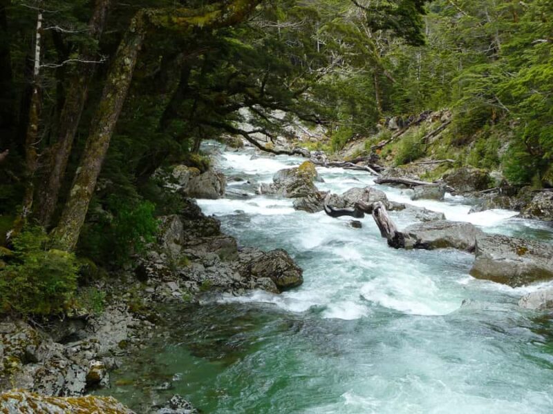Queenstown: Routeburn Track Guided Full-Day Walk or Half Day - Key Points