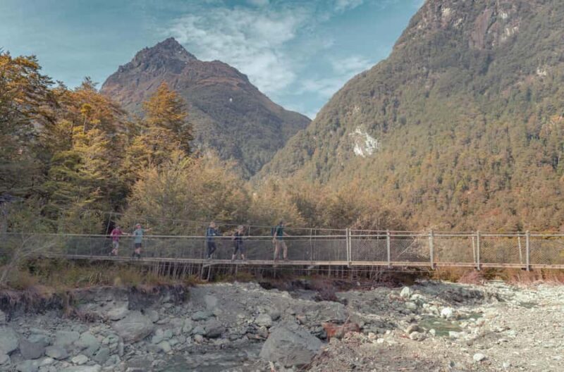 Queenstown: Routeburn Track Guided Full-Day Walk or Half Day - An In-Depth Look at the Tour