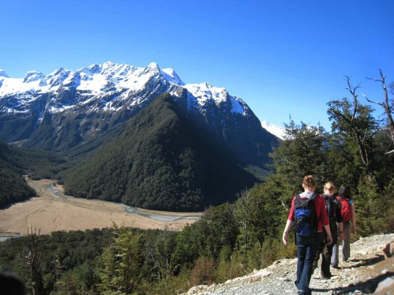 Queenstown: Routeburn Track Guided Full-Day Walk or Half Day - FAQ