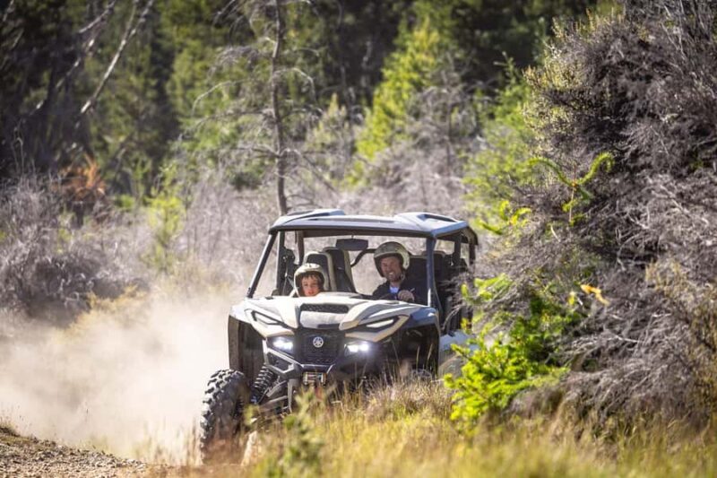 Queenstown: Self Drive Guided Buggy Tour - What Do Travelers Say About the Guides?