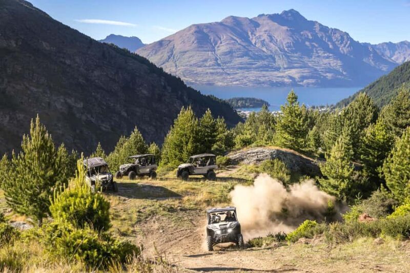Queenstown: Self Drive Guided Buggy Tour - Who Would Enjoy This Tour?