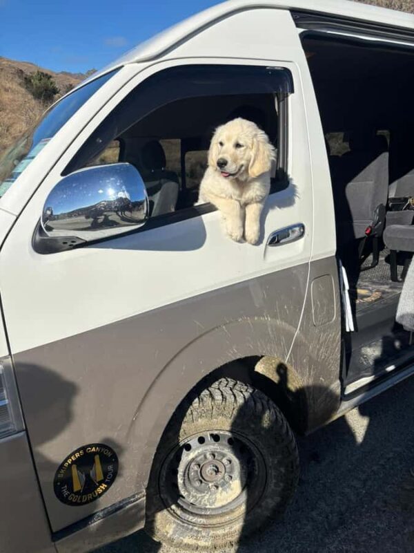 Queenstown: Skippers Canyon Goldrush Highlights Tour - What Travelers Say