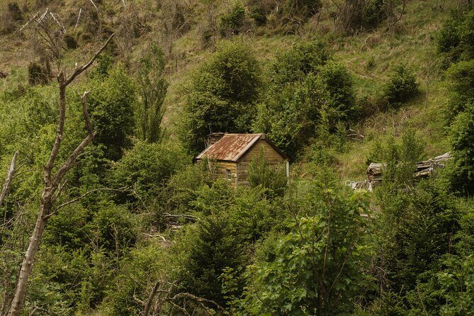 Queenstown: Skippers Canyon Goldrush Small Group Tour - Why This Tour Works