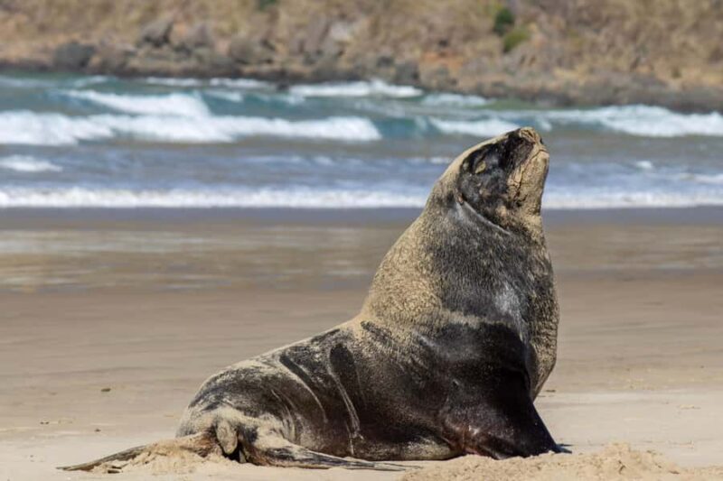 Queenstown: Southern Highlights  3 Days & 2 Nights - The Itinerary: An In-Depth Look