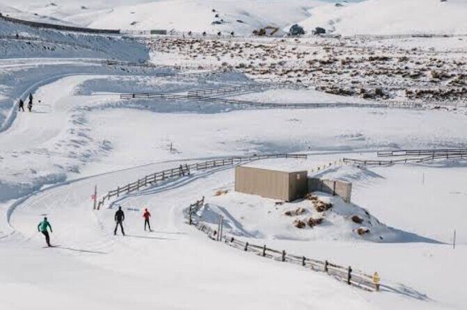 Queenstown to Cardrona Snow Farm Tour - Who This Tour Is Best For