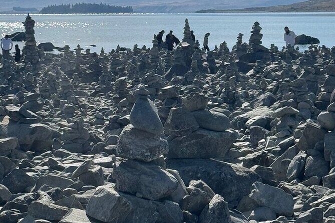 Queenstown to Christchurch One Way Tour Via Lake Tekapo & Mt Cook - High Country Salmon  