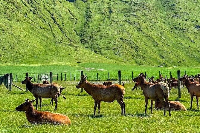 Queenstown to Christchurch One Way Tour Via Lake Tekapo & Mt Cook - Aoraki Mount Cook National Park Visitor Centre & Lunch  