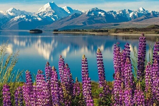 Queenstown to Christchurch One Way Tour Via Lake Tekapo & Mt Cook - Lake Tekapo  