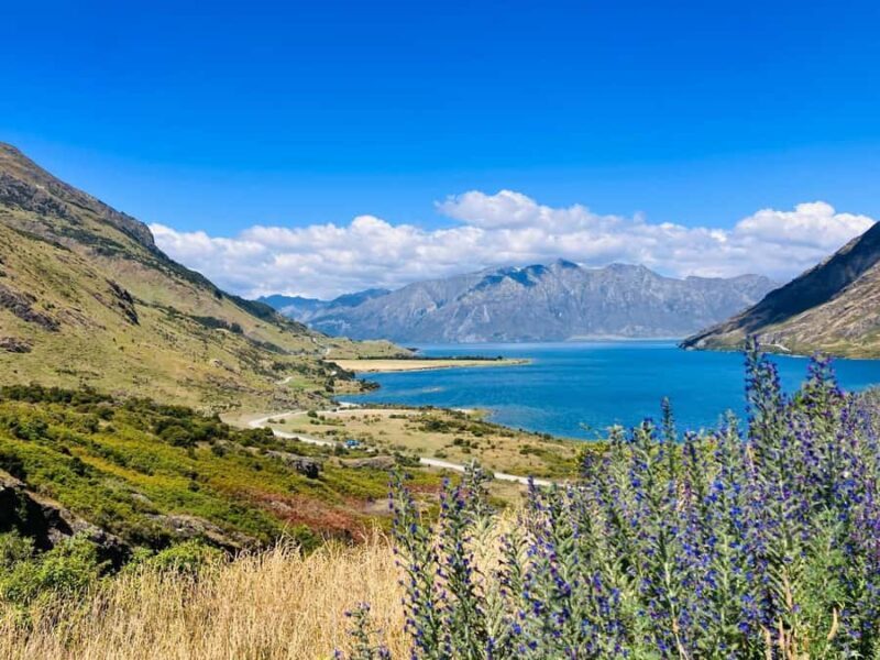 Queenstown to Christchurch via Franz Josef 2-Day Tour - Final Thoughts