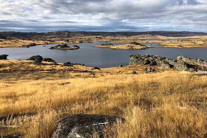 Queenstown to Dunedin with Taieri Gorge Train One-Way Tour - A Full Breakdown of the Itinerary