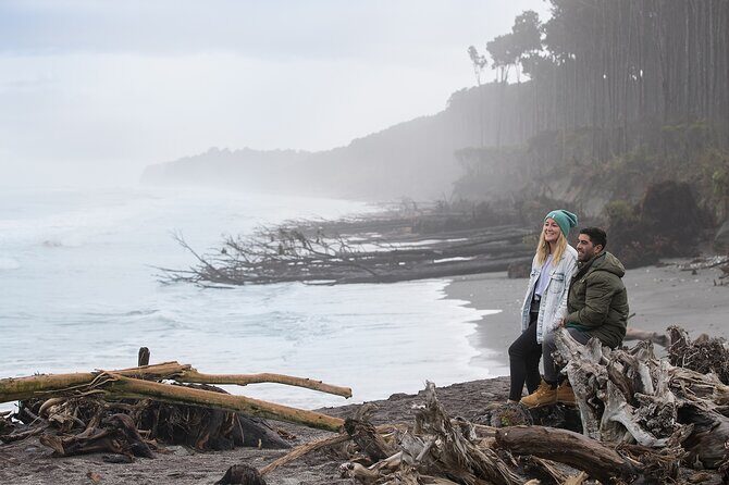 Queenstown to Franz Josef Day Tour - Introduction