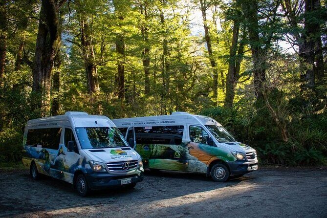 Queenstown to Te Anau via Milford Sound inc Cruise & Lunch - A Deep Dive into the Experience