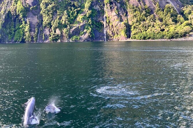 Queenstown to Te Anau via Milford Sound inc Cruise & Lunch - FAQs